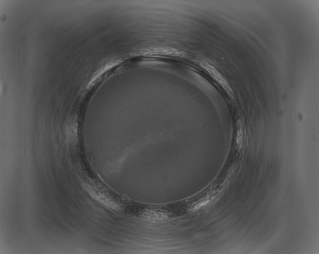 X0000087630207200705031454