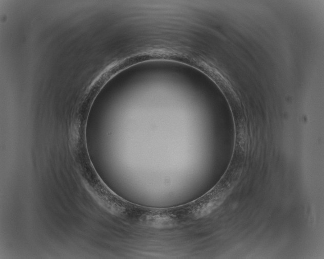 X0000087630208200705031454