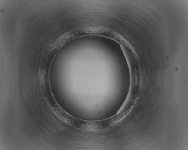 X0000087630209200705031454