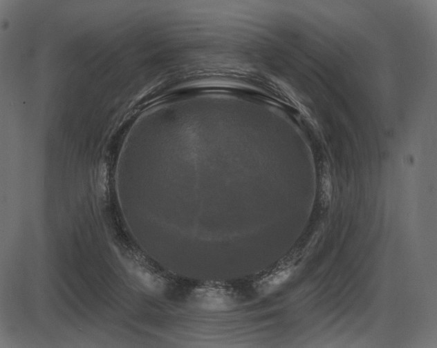 X0000087630211200705031453