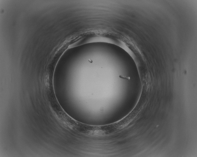 X0000087630212200705031453