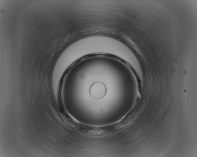 X0000087630213200705031453