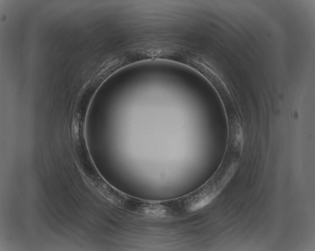 X0000087630214200705031453