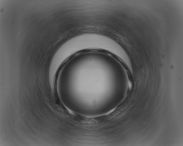 X0000087630215200705031453