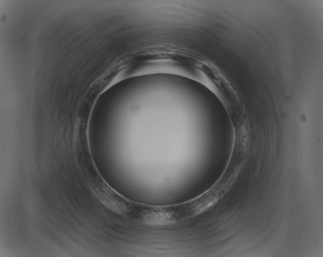 X0000087630217200705031453