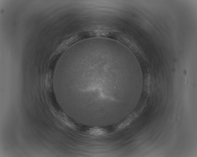 X0000087630218200705031453