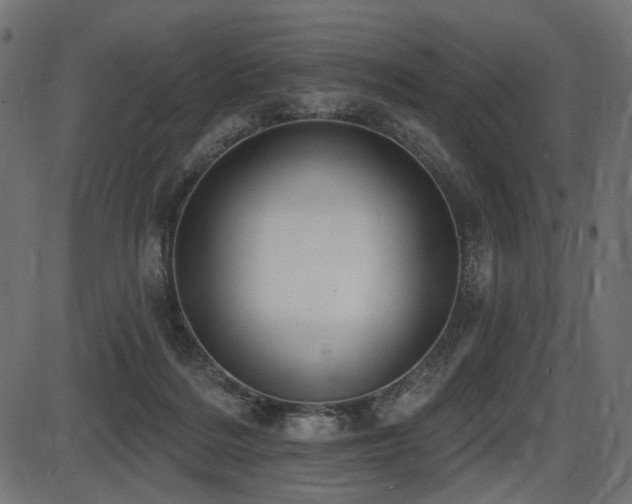 X0000087630220200705031453