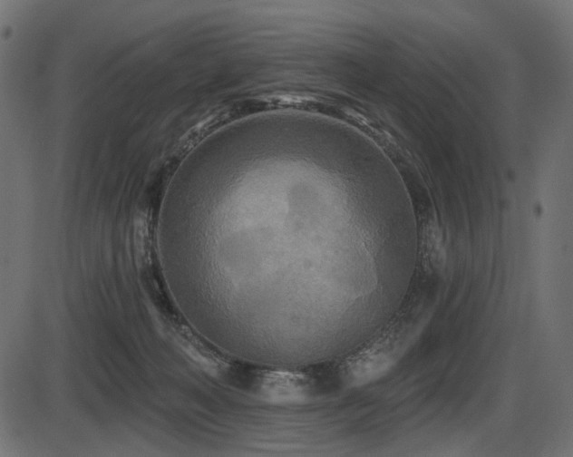 X0000087630222200705031453