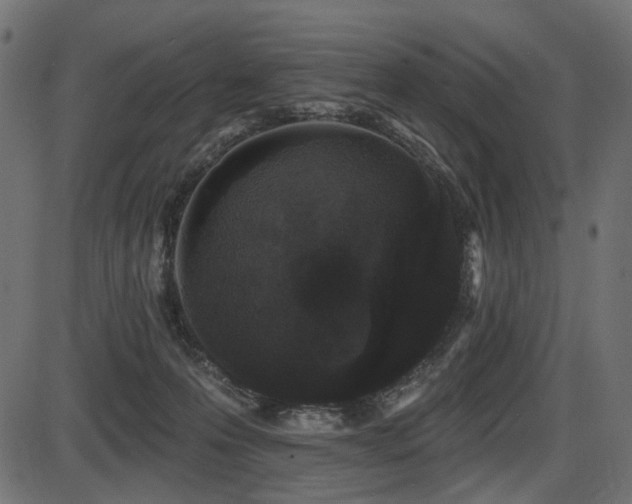 X0000087630223200705031453