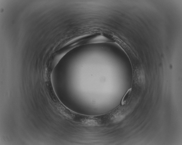 X0000087630224200705031453