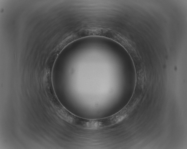 X0000087630225200705031453