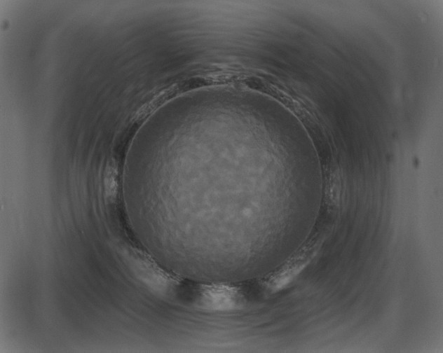 X0000087630226200705031453