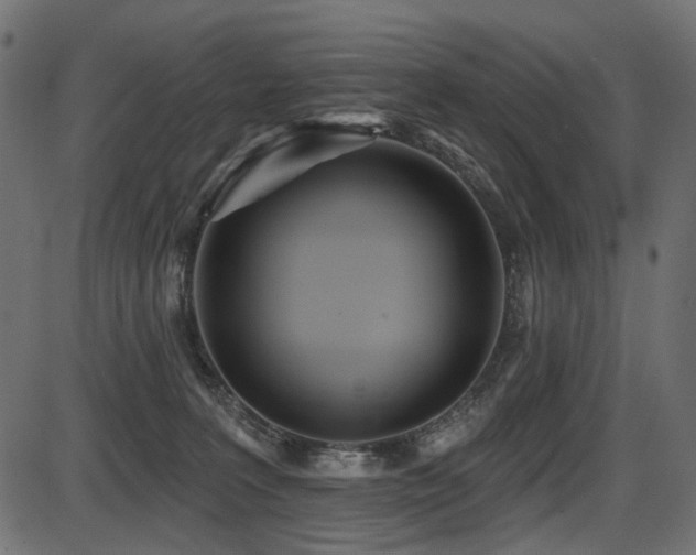 X0000087630227200705031453