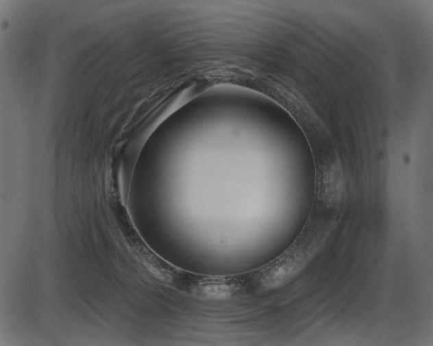 X0000087630228200705031453