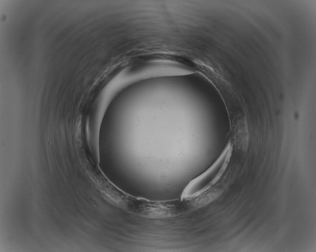 X0000087630229200705031453