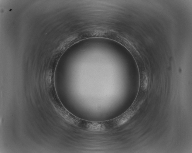 X0000087630230200705031453