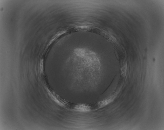 X0000087630231200705031453