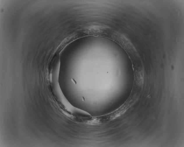 X0000087630232200705031453