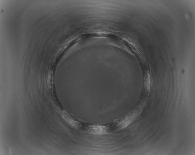 X0000087630233200705031453