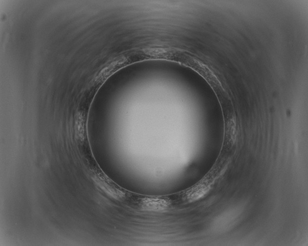 X0000087630234200705031453