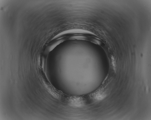 X0000087630235200705031453