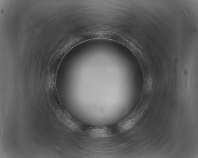 X0000087630236200705031453