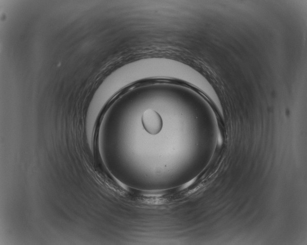 X0000087630237200705031453