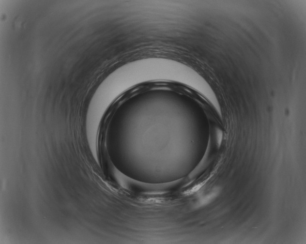 X0000087630239200705031453