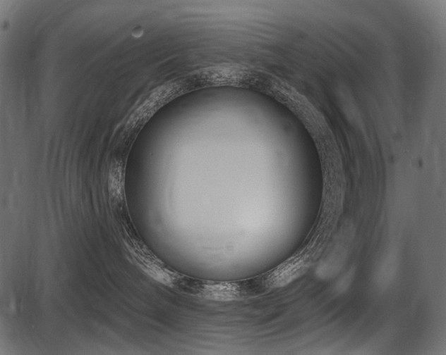 X0000087630240200705031453