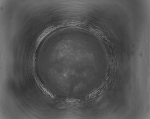 X0000087630242200705031452