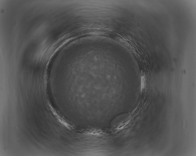 X0000087630243200705031452