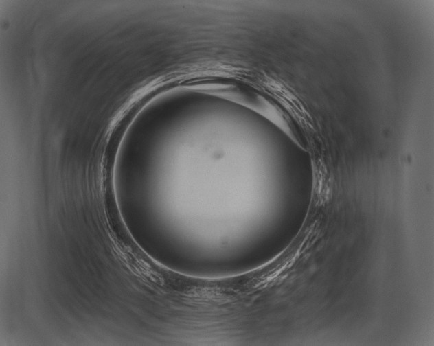 X0000087630244200705031452