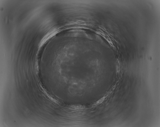 X0000087630245200705031452