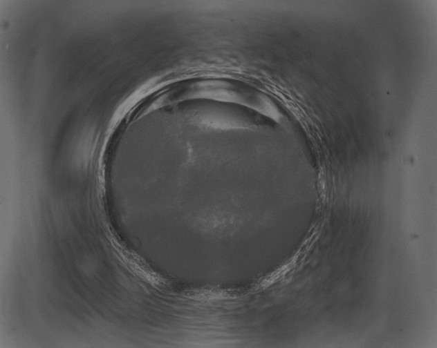 X0000087630246200705031452