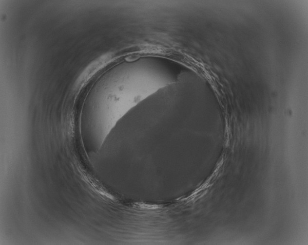 X0000087630247200705031452