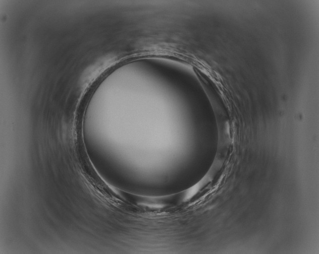 X0000087630248200705031452