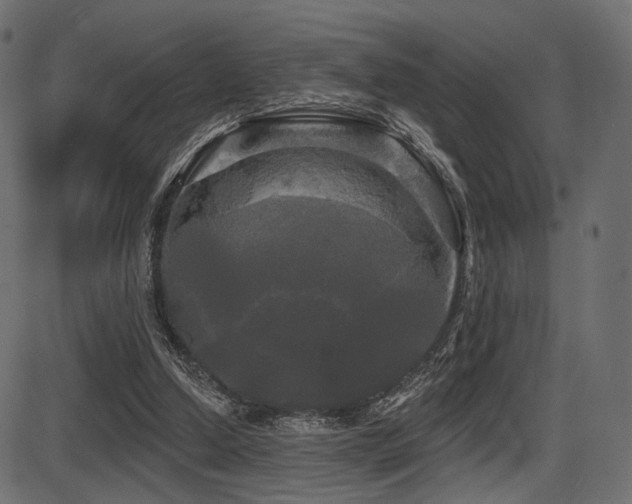 X0000087630250200705031452