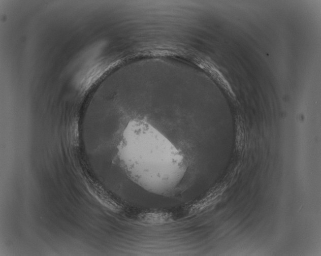 X0000087630251200705031452