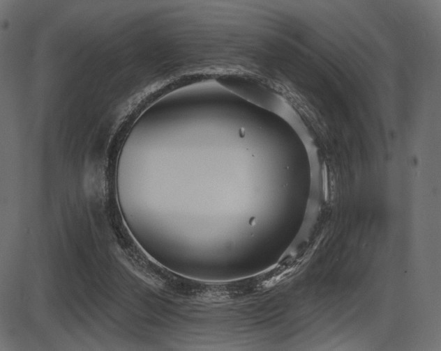 X0000087630252200705031452