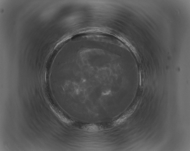 X0000087630253200705031452