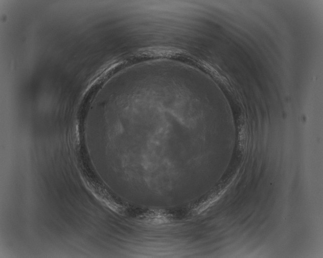 X0000087630254200705031452