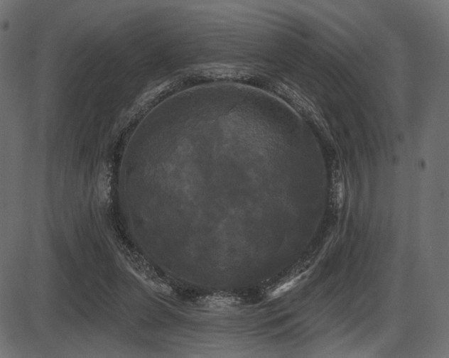 X0000087630255200705031452