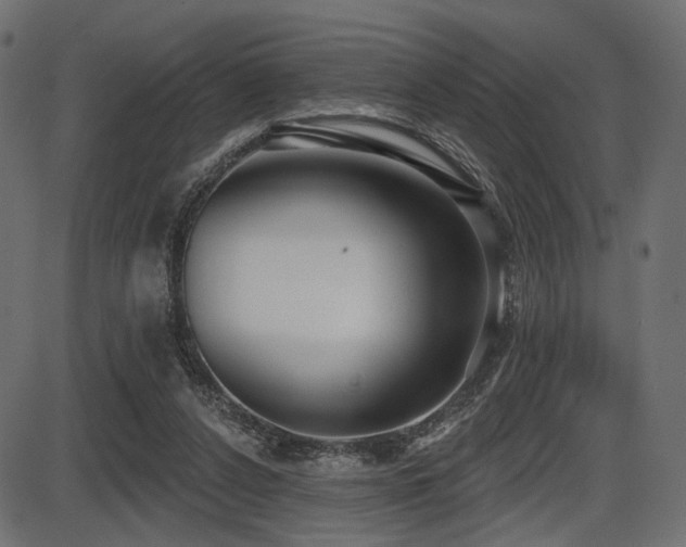 X0000087630256200705031452