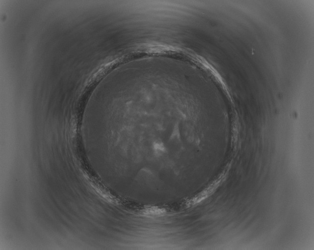 X0000087630257200705031452