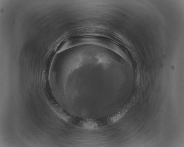 X0000087630258200705031453