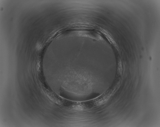 X0000087630259200705031453