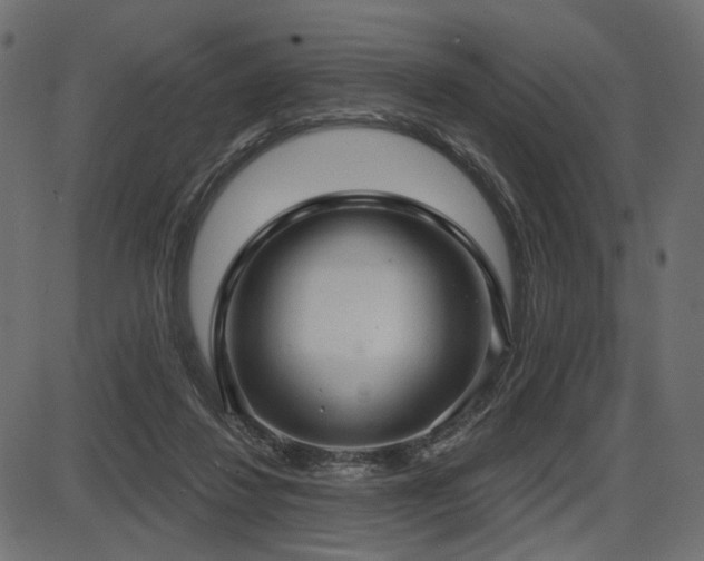 X0000087630260200705031453