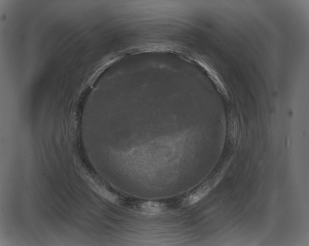 X0000087630261200705031453