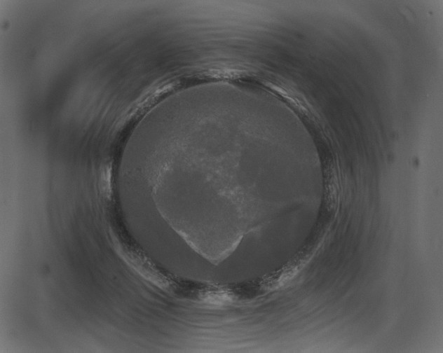 X0000087630262200705031453