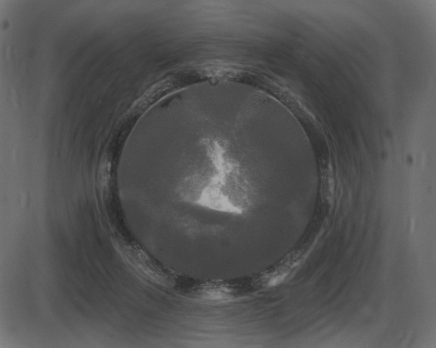 X0000087630263200705031453